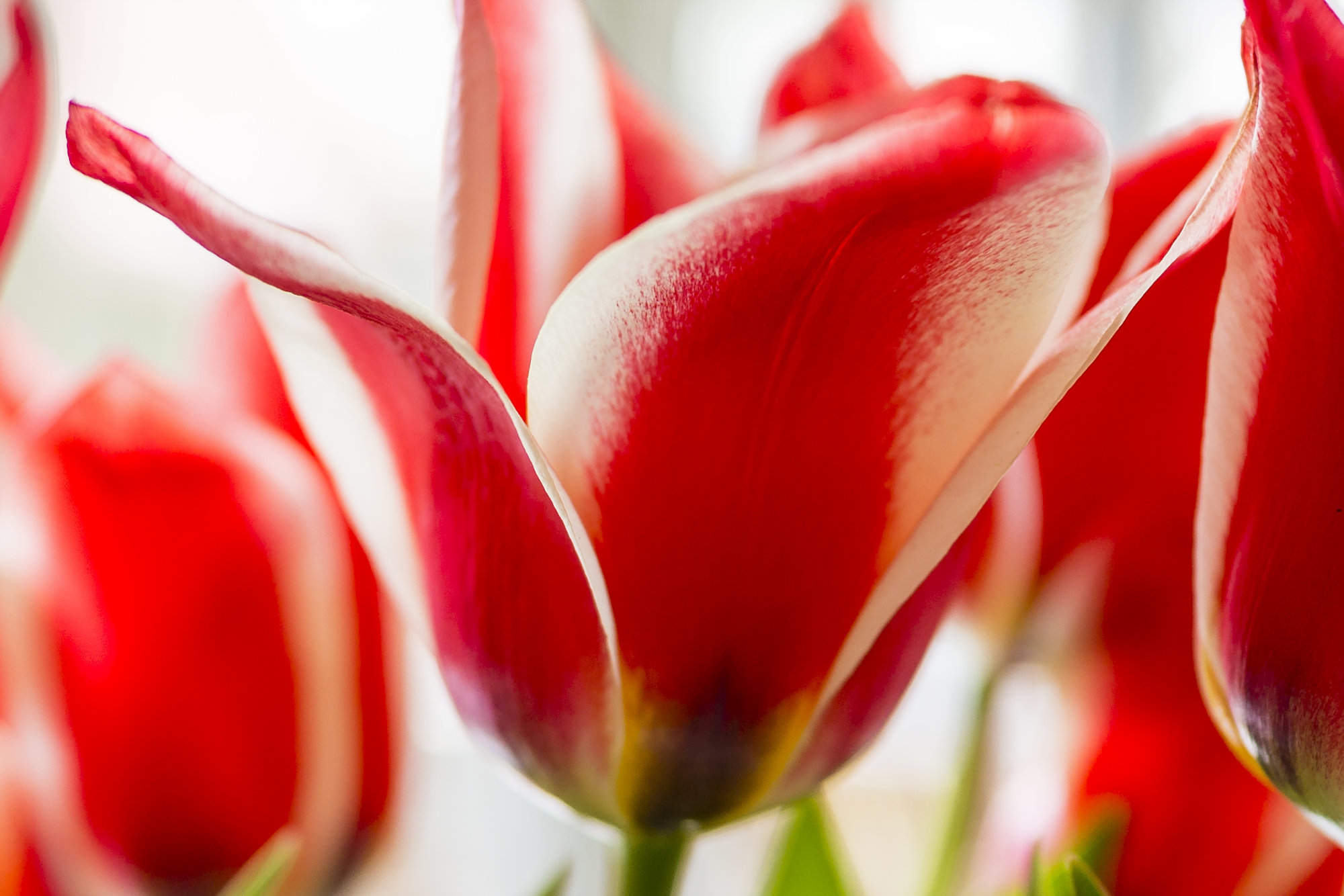 Odissea inspiratie